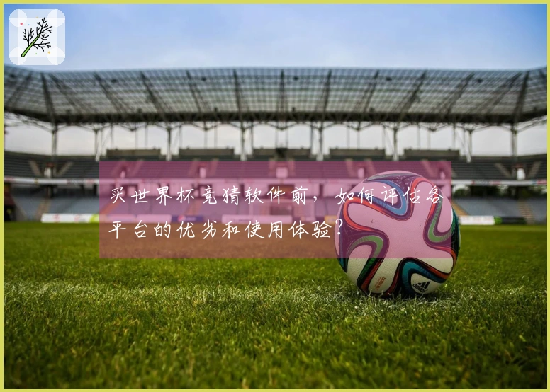 买世界杯竞猜软件前，如何评估各平台的优劣和使用体验？