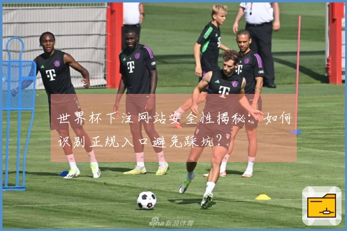 世界杯下注网站安全性揭秘：如何识别正规入口避免踩坑？